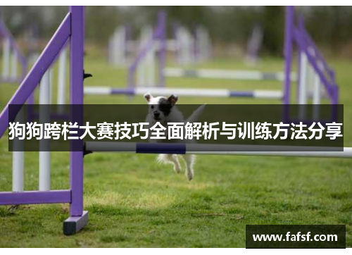 狗狗跨栏大赛技巧全面解析与训练方法分享