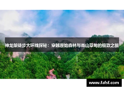 神龙架徒步大环线探秘：穿越原始森林与高山草甸的极致之旅