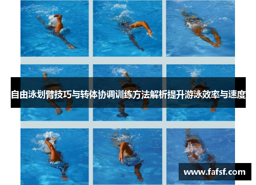 自由泳划臂技巧与转体协调训练方法解析提升游泳效率与速度