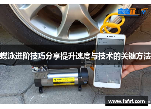 蝶泳进阶技巧分享提升速度与技术的关键方法